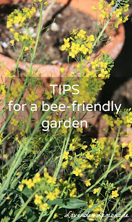Simple steps for a bee-friendly garden!