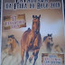 Cavalgada da Feira do Rolo 2019