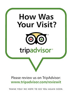 TripAdvisor Review