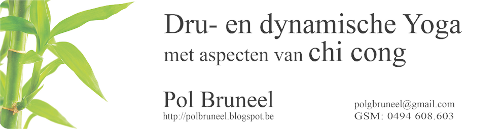 Pol Bruneel - Dru en Dynamische Yoga