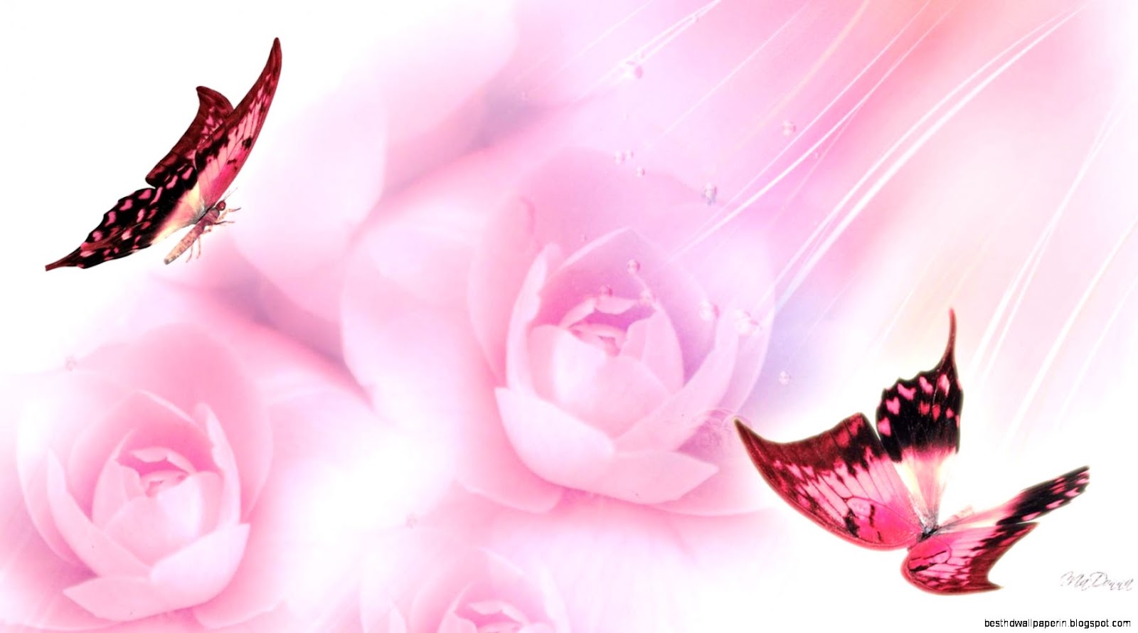 Pretty Pink Butterfly