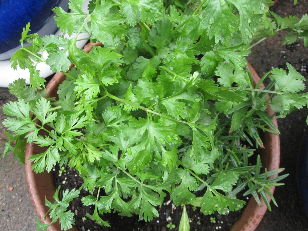 It's a Beautiful Friday