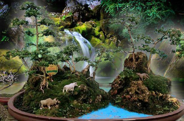 Komposisi Bonsai Landscape (Panorama)