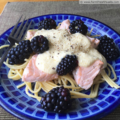 photo of a blue plate of salmon and blackberries over noodles with a lemon cream sauce