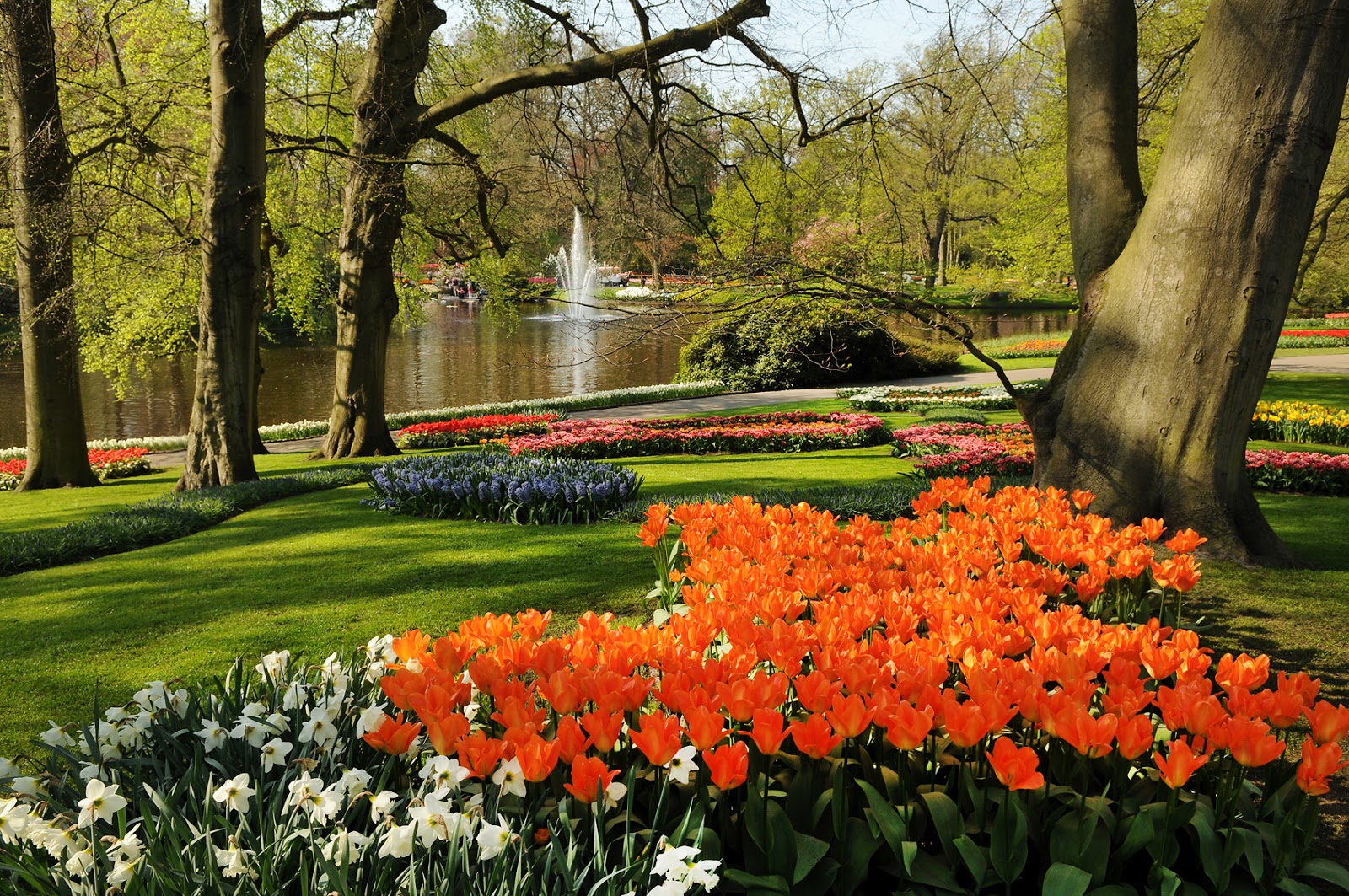 REGIÓN CANARIAS, Periódico digital de Canarias: Keukenhof, que acaba de