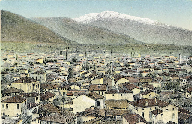 Panorama of Bitola eastward made from the Clock Tower in 1917, overlooking the Peliser in the background.