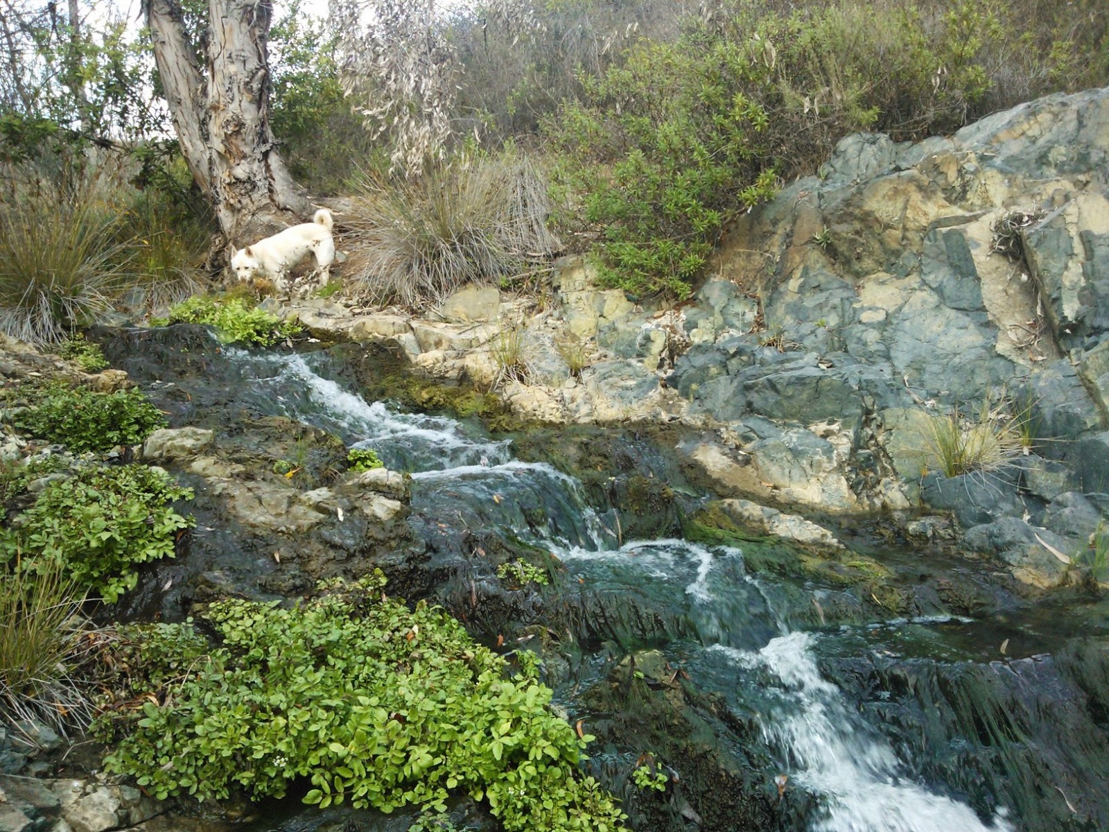 Rockchaser Copper Creek, San Marcos, California