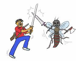 Cara Mengurangi Populasi Nyamuk