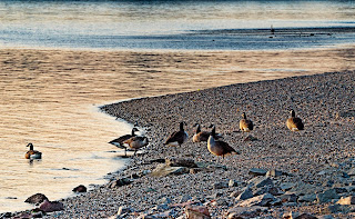 5 Ideen Wo Man Unglaubliche Landschaften In Bintan Findet