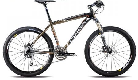 cross training bikes