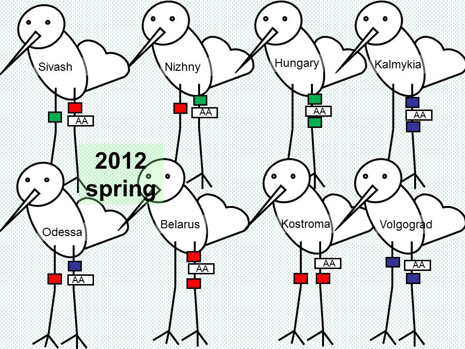 схемы в русском языке 1 класс с обозначением. чучело схема цветная. звуковая модель. звуковые схемы 1 класс школа россии. составьте схемы слов 1 класс.