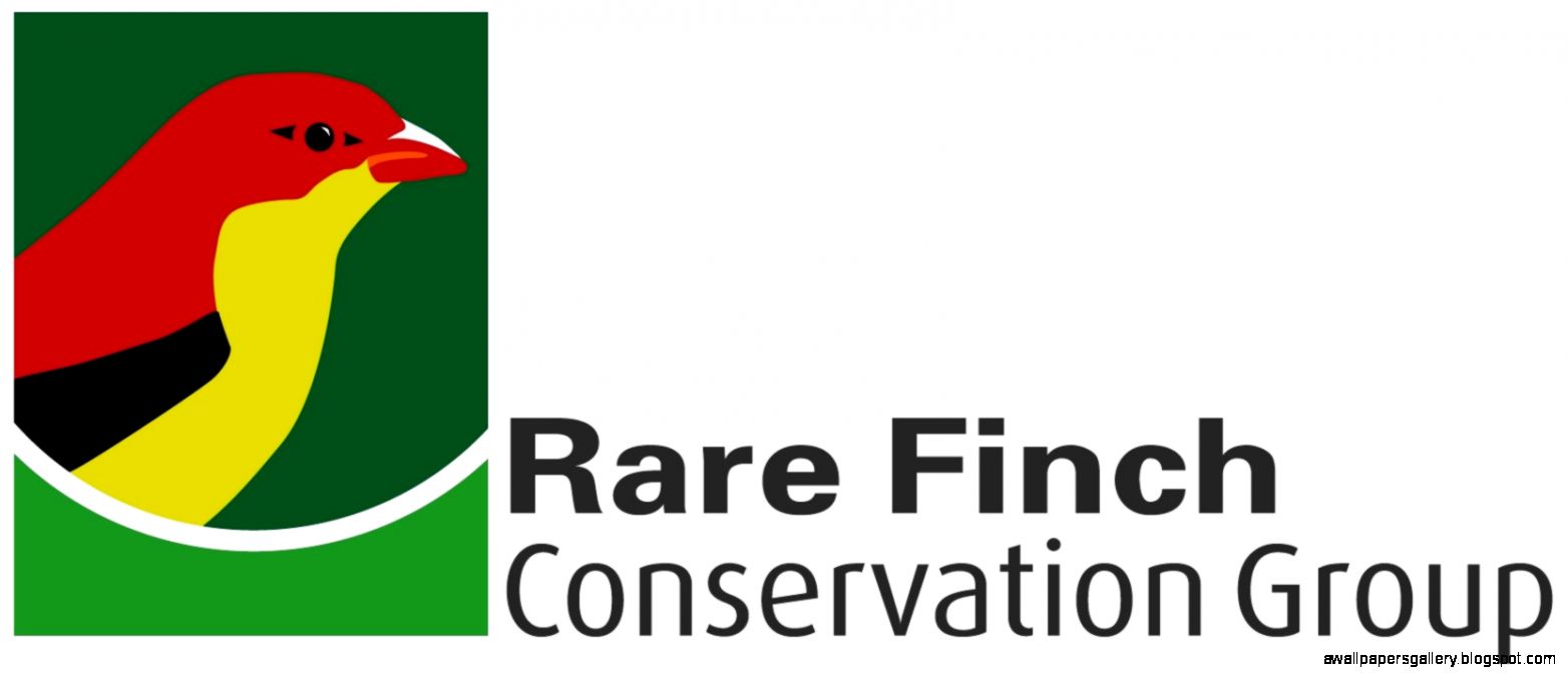 Wildlife Conservation Groups  Amazing Wallpapers