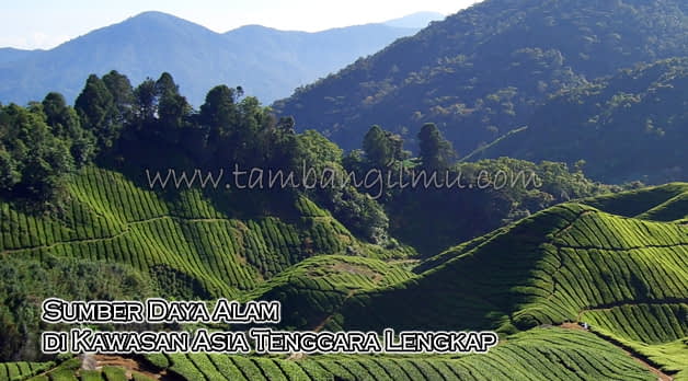 101+ Gambar Sumber Daya Alam Vietnam Paling Keren 101+ Gambar Sumber Daya Alam Vietnam Paling Keren