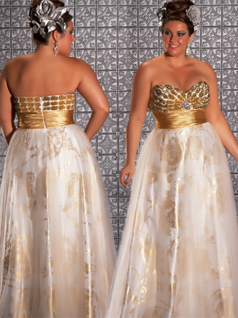 Beautiful Plus Size Prom Dress : Dresses for Every Occasion