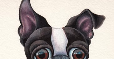 GSC Artwork Blog: For the Boston Terrier fans