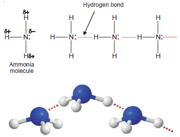 Hydrogen Bonding: Definition, types, Examples, Characteristics