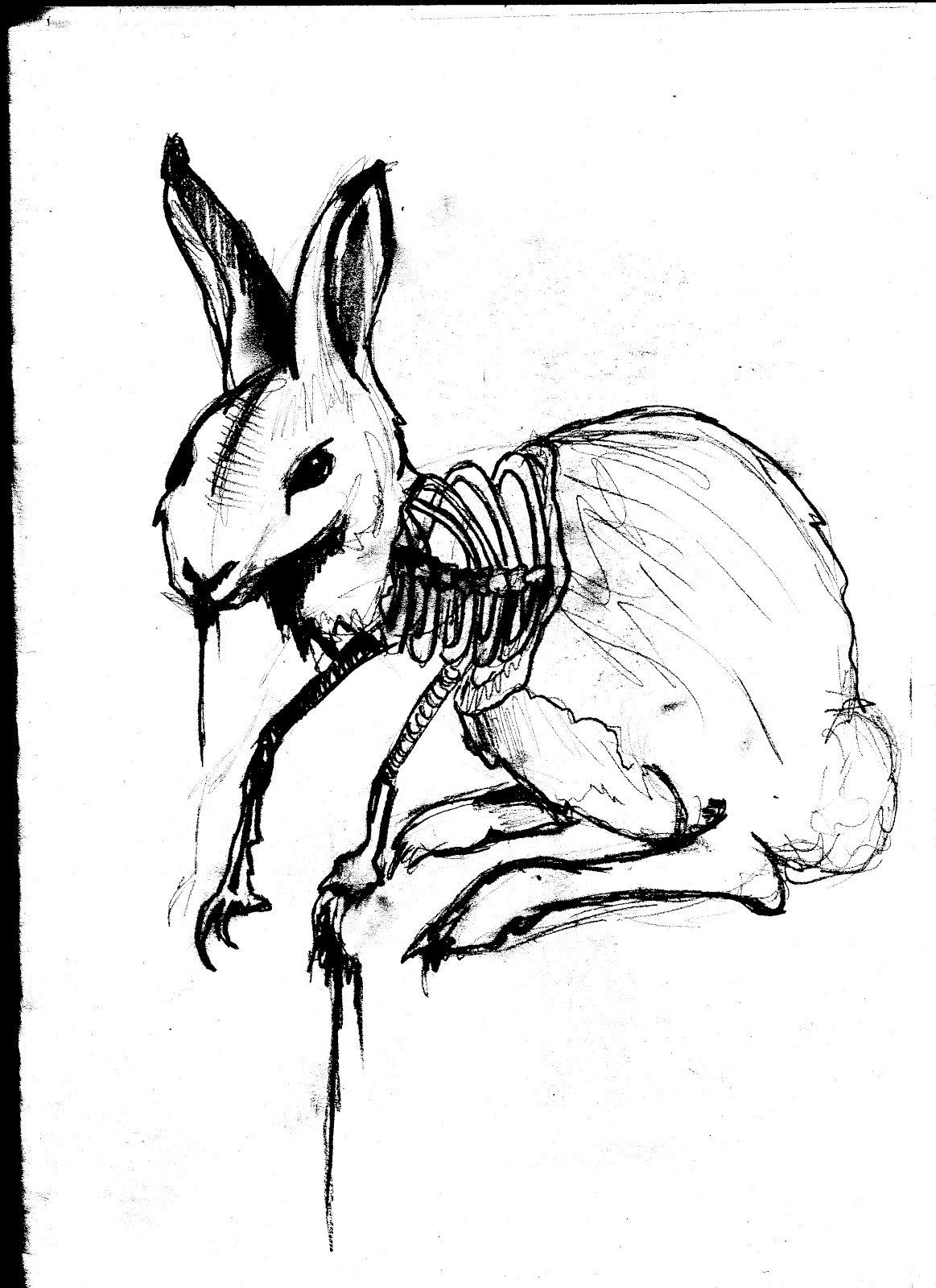Особенности скелета кролика. Скелет кролика. Скелет зайца. Тату кролик скелет. Скелет крольчонка.