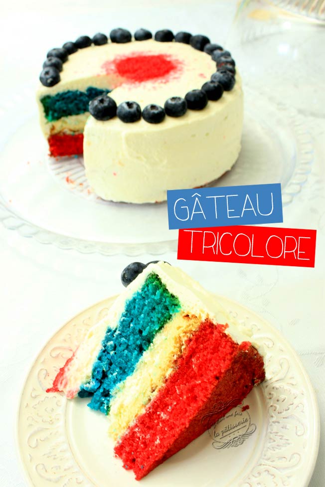 tout est multicolore - Page 12 Gateau-tricolore-france