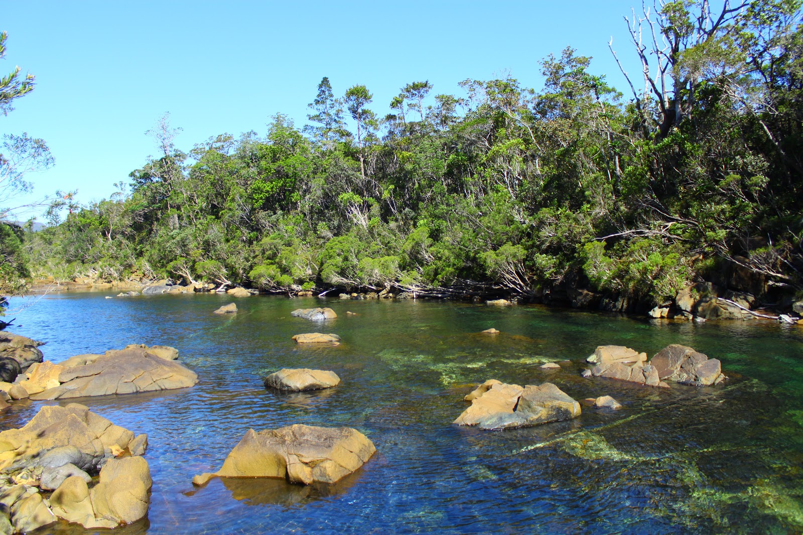 Nouméa nous voilà ! Parc provincial de la rivière bleue à VTT, le 15