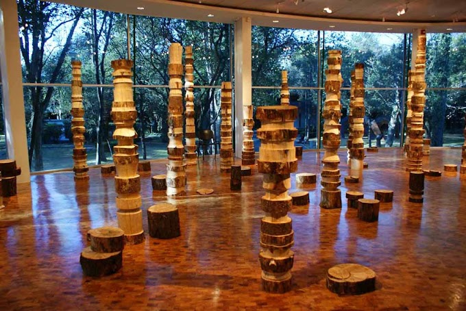 Bosque al Desnudo, Museo de Arte Moderno 