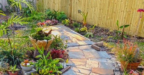 The Rainforest Garden Before And After My Slate Path Before And After My Slate Path