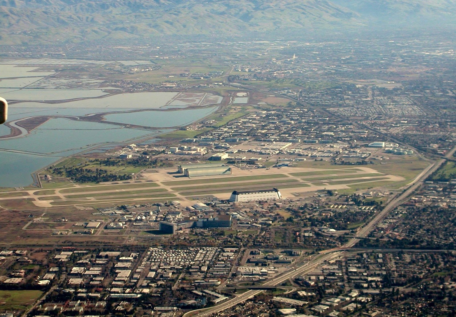 Forestdweller Moffett Field