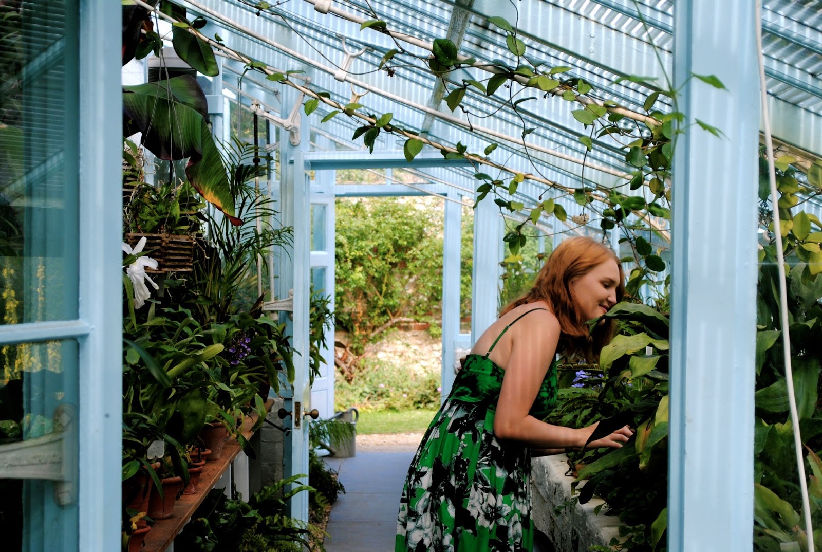 Visiting Charles Darwin's Greenhouse wearing Shakuhachi  photogenic green midi dress