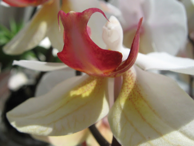 MATERIALES MARI LUZ: septiembre 2015