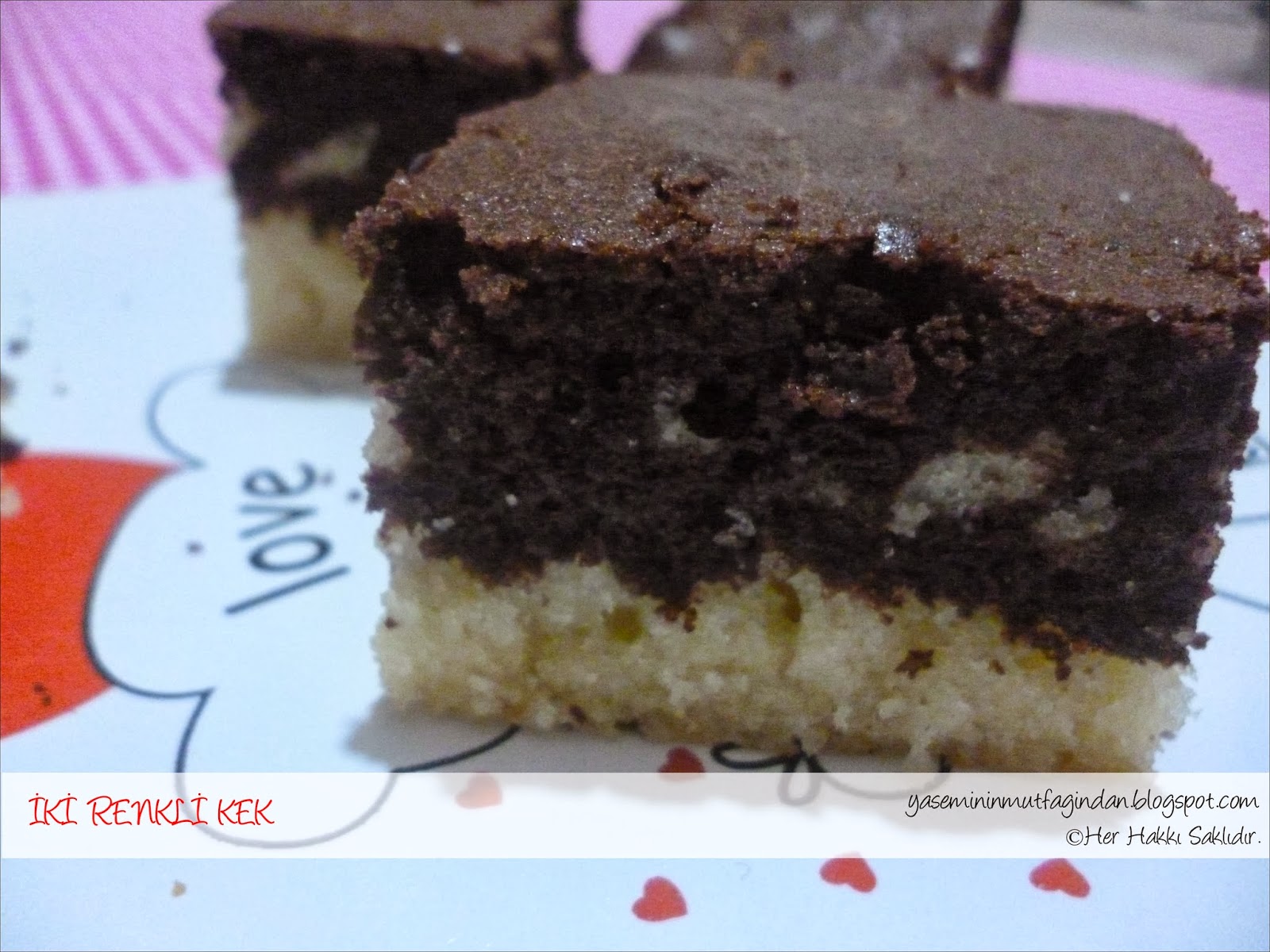 İKİ RENKLİ KEK MODA GÜNÜ