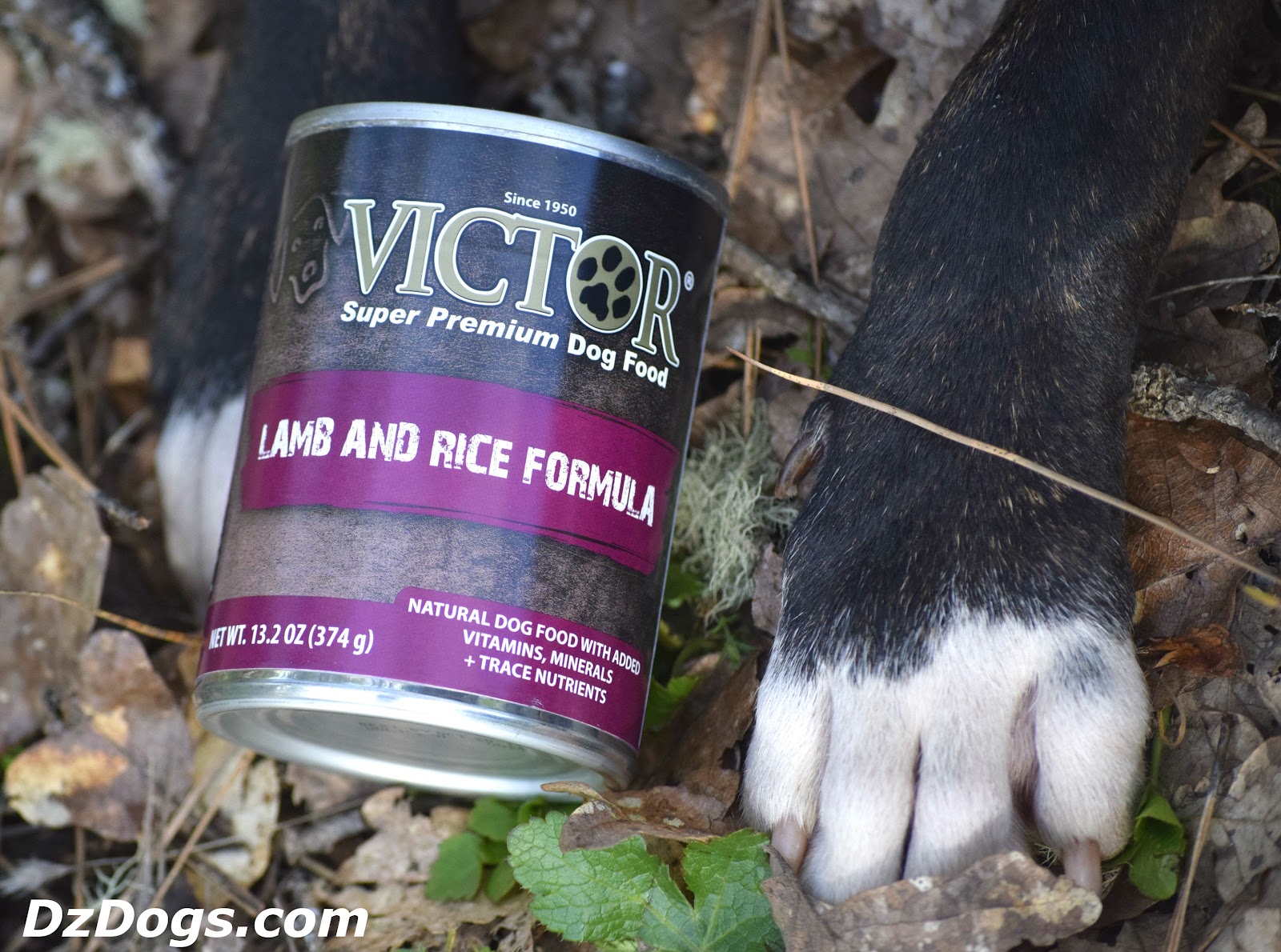 DZ's Adventures Victor Lamb & Rice Food & DIY Homemade Treats!