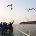 韓國玩樂｜仁川月尾島往返永宗島渡海船，大小同樂餵海鷗