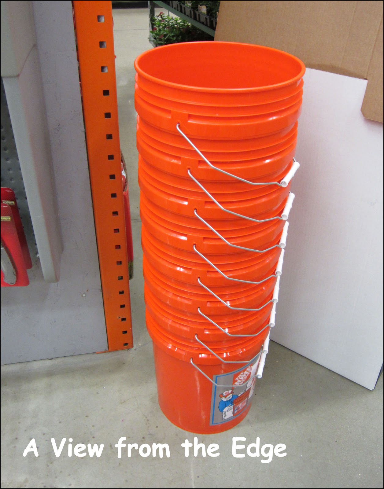 A View from the Edge Thursday's Things in a Row