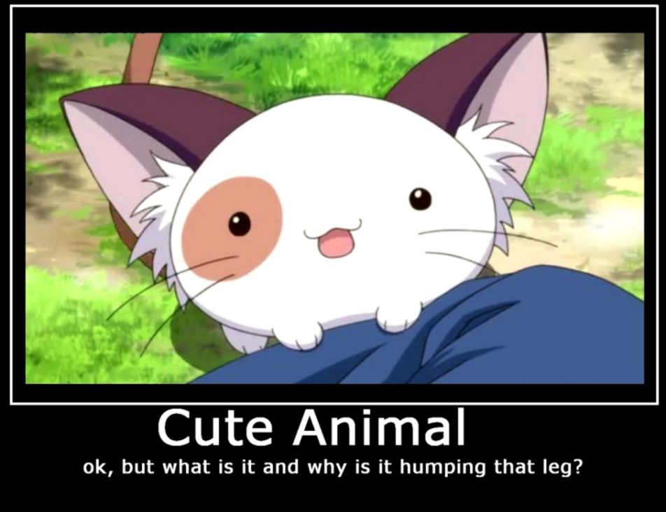 Cute Animal by Funncubes on DeviantArt