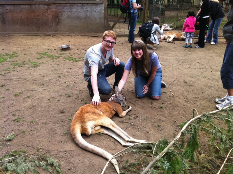 My Pacific Northwest Kangaroo Zoo Arlington 8/13