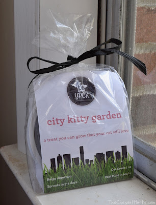 YPCK City Kitty Garden Package