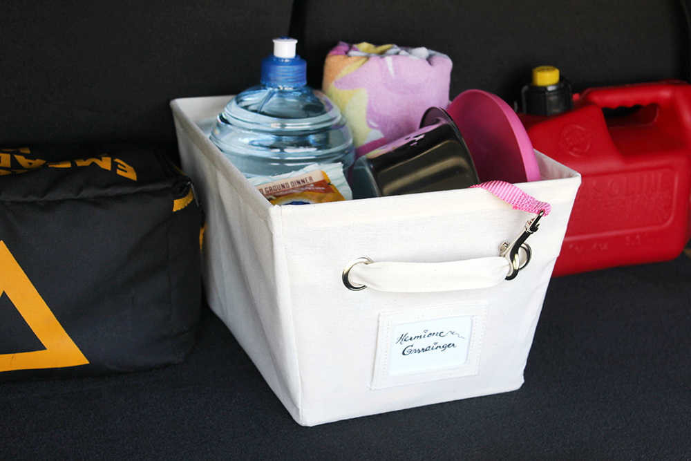 Southern Mom Loves Make This Dog Essentials Car Organizer for Your On