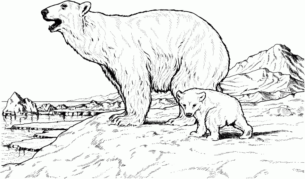 bear coloring pages coloring.filminspector.com