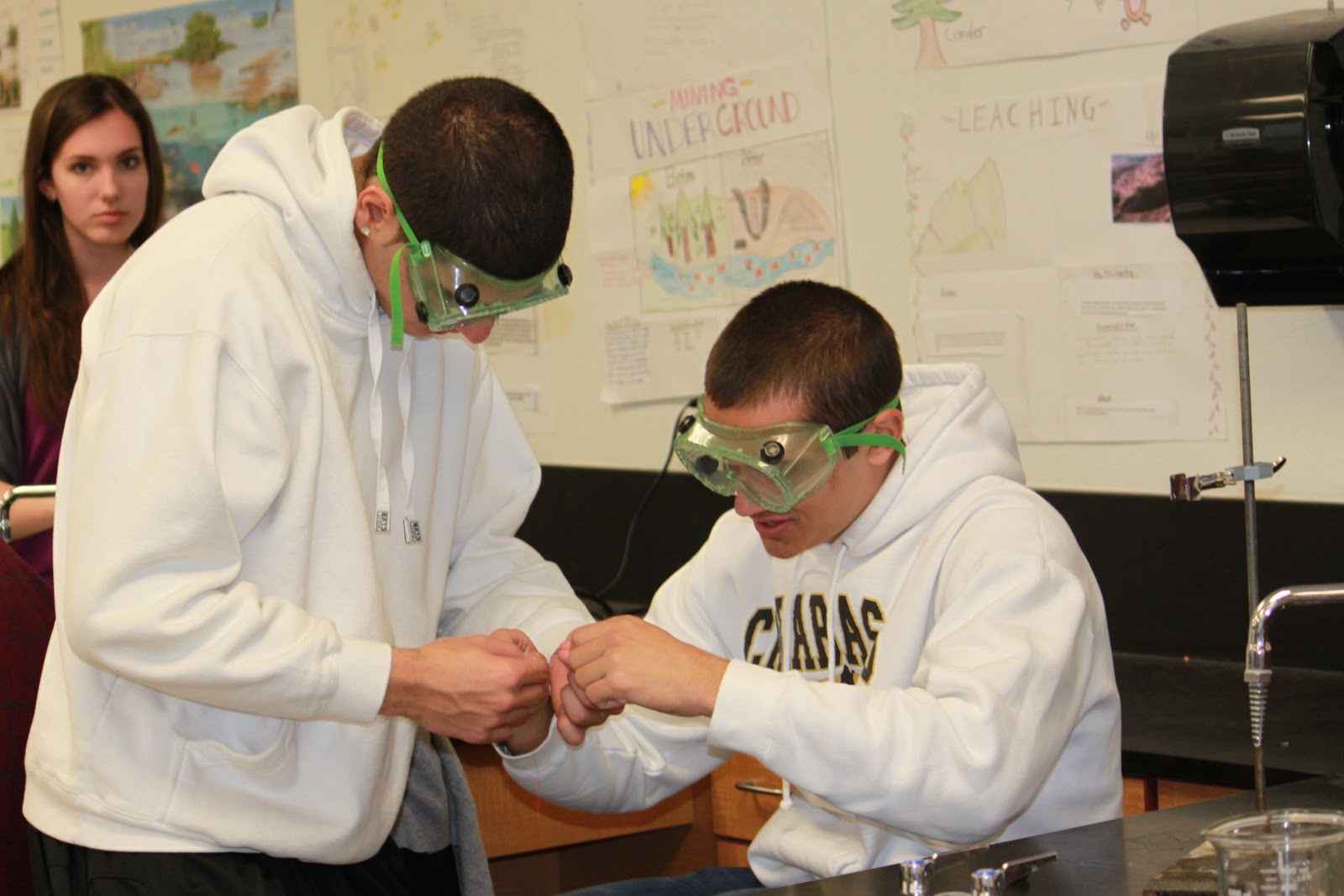 Calabasas High Schools Goals Calabasas Wildly Important Goals