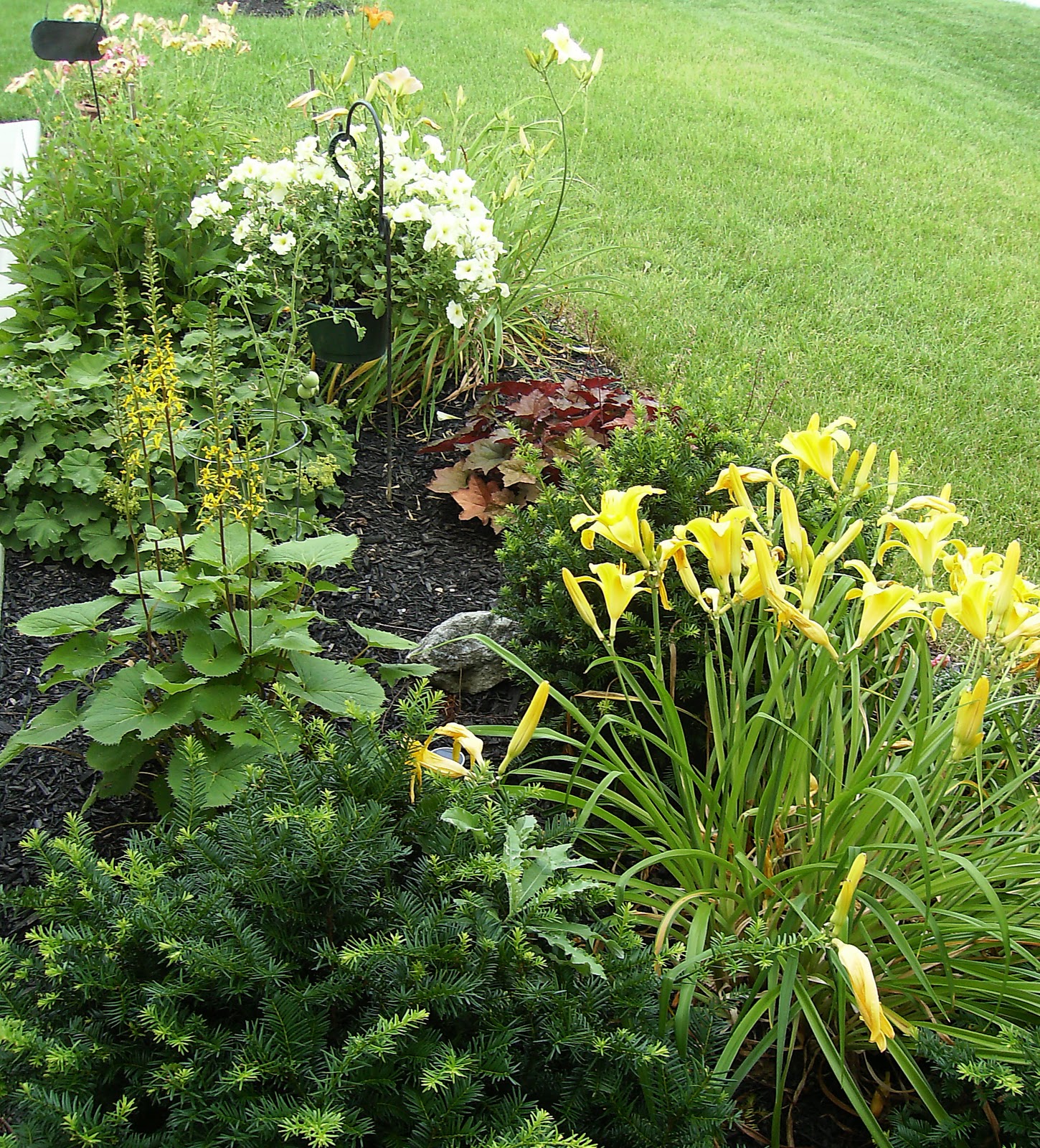 The Blue Iris Beds and Borders
