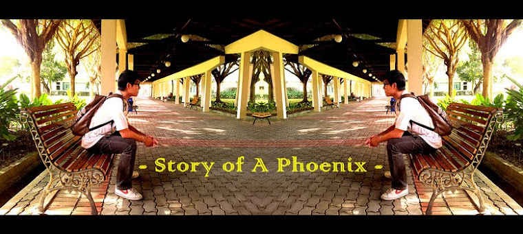 Story Of A Phoenix...