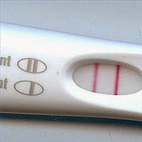 روائع الطب والصحة الحمل وطريقة تحليل الحمل و اختبار الحمل المنزلي Home Pregnancy Test