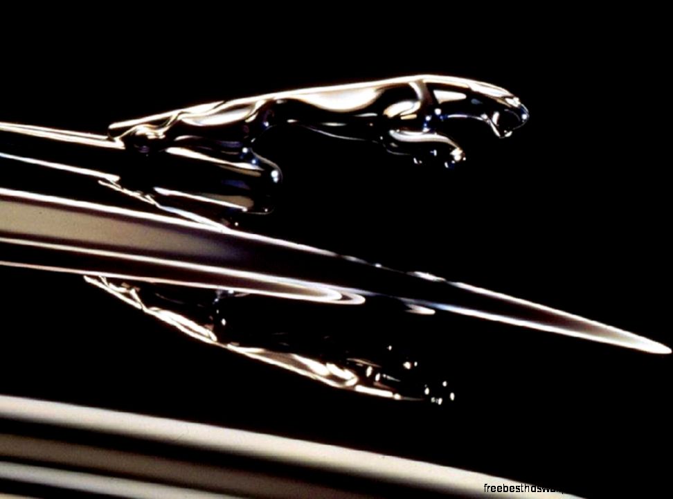 Jaguar Logo Jaguar Car Symbol and History