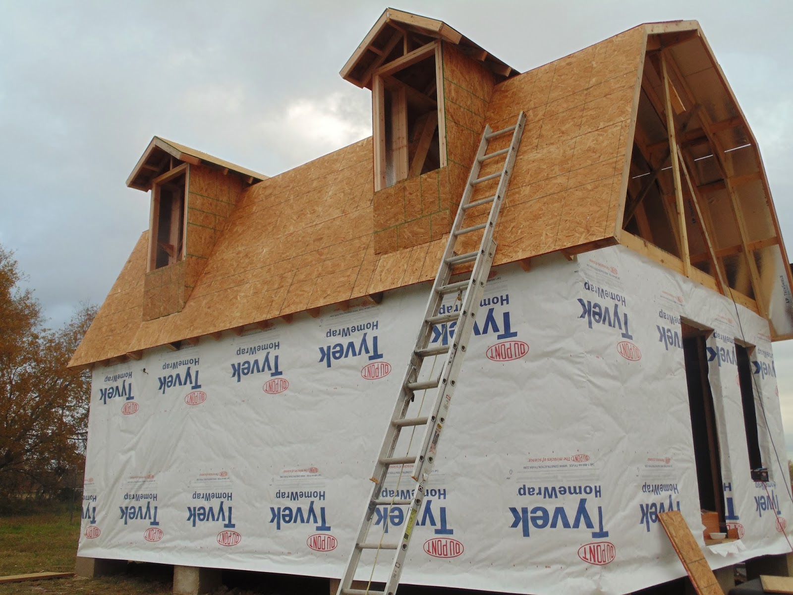 Living and Learning in Haiti Roofing Paper, Cedar Trim, Shingles