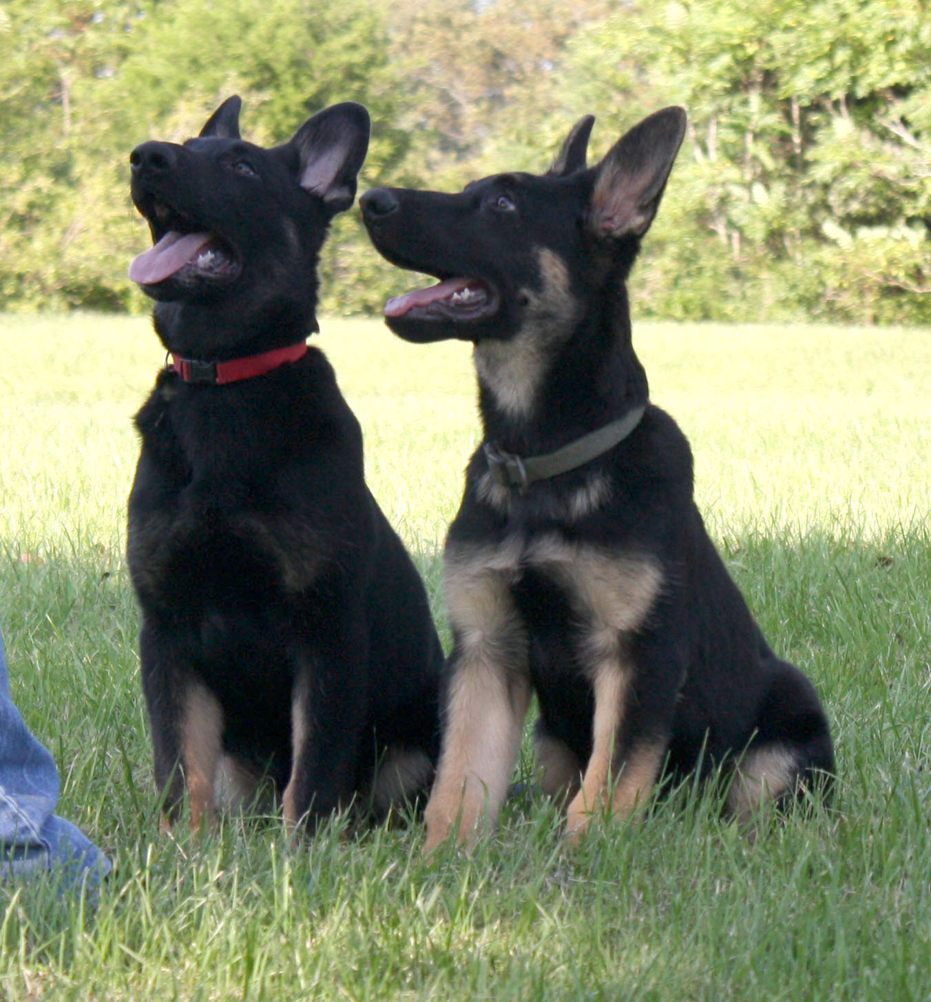 Throw the Ball!: May 2016