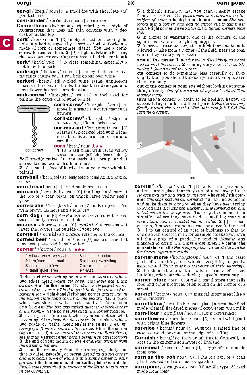 Verb assignment pdf image