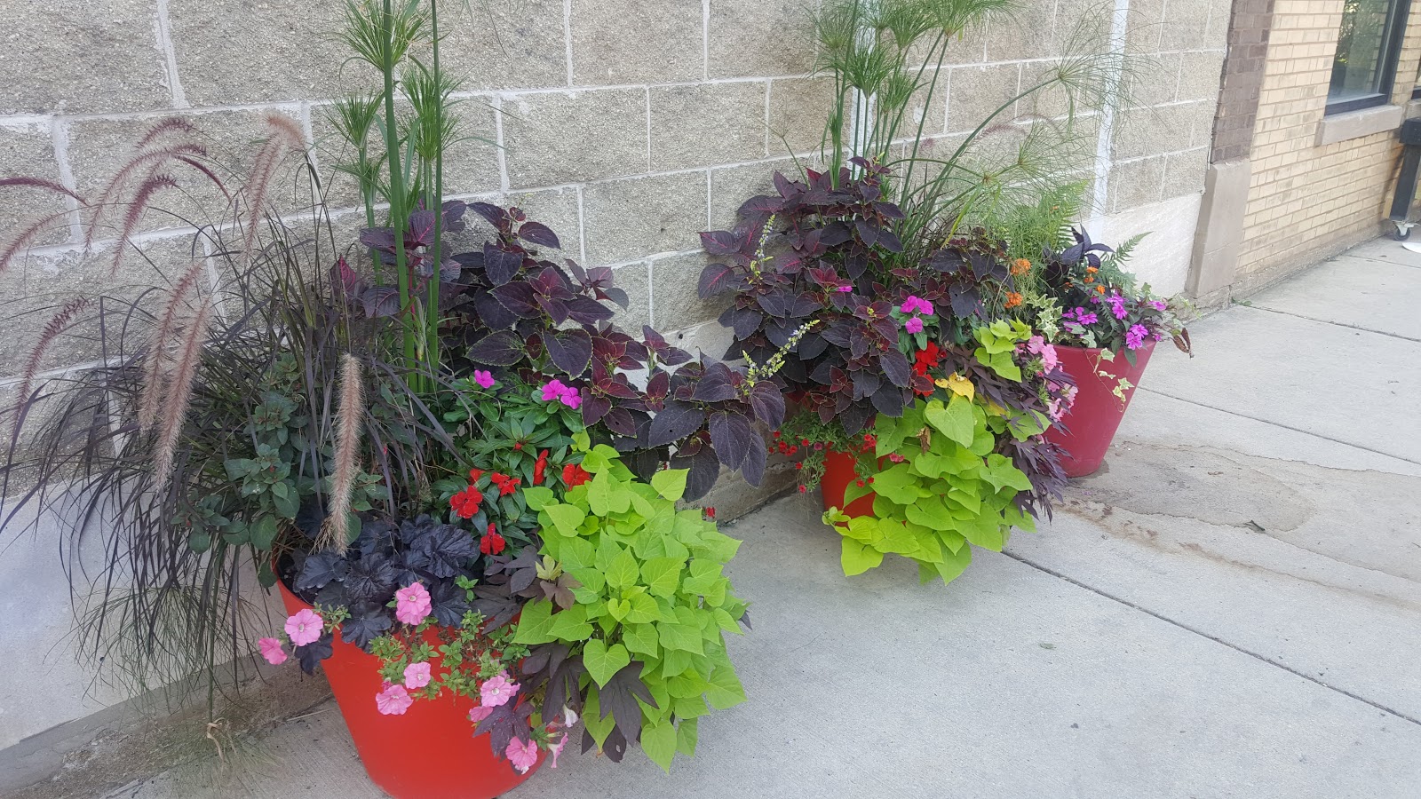 The Chicago Real Estate Local Do your yard right at Christy ber