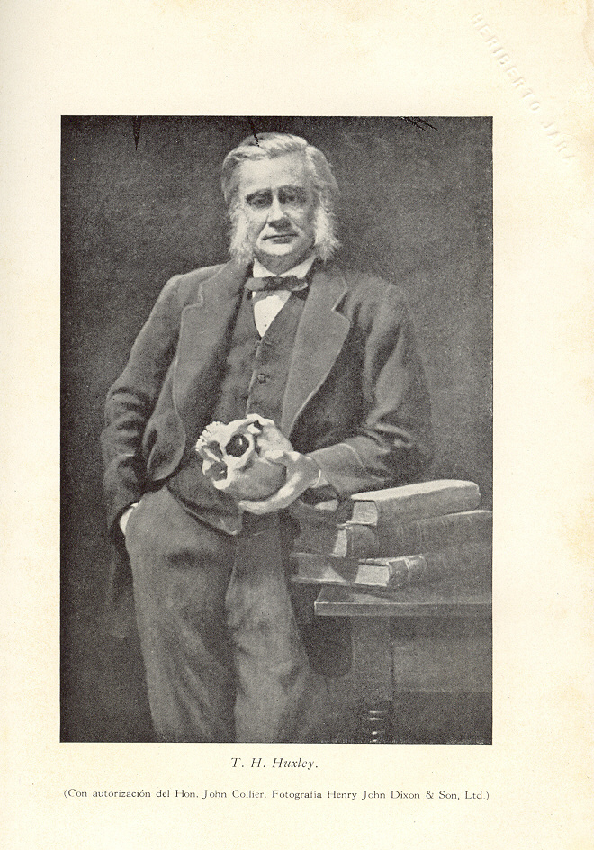 Las mil notas y una nota Poe