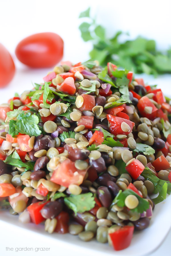 The Garden Grazer Black Bean Lentil Salad with CuminLime Dressing