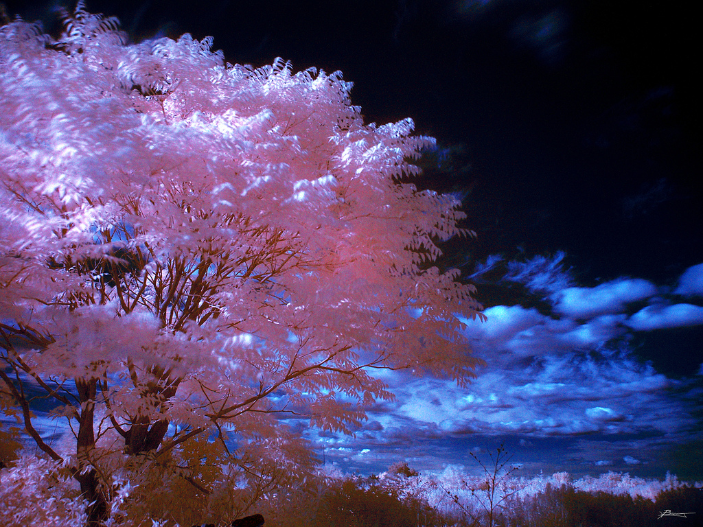 Beautiful Nature Images beautiful-nature-images