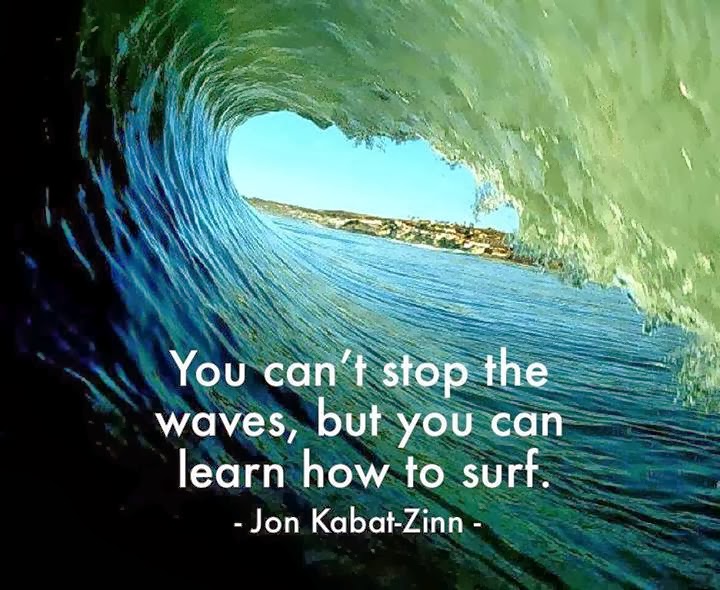 Quotes & Inspiration You can't stop the waves, but you can learn how